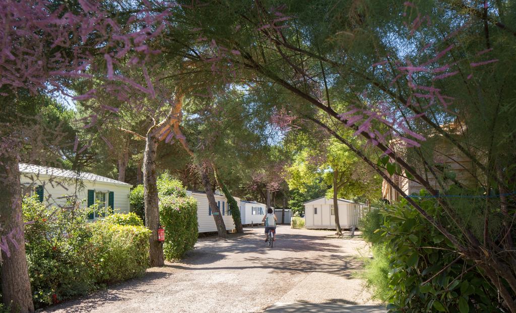 Camping Le Suroit Le Bois-Plage-en-Re Bagian luar foto